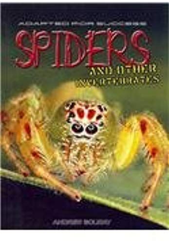 Spider & Other Invertebrates (Adapted For Success)