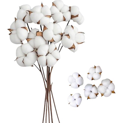 KALANKA-10 Pcs Fleurs de Coton Séchées avec Tige et 5 Tête de Séchées Coton Decoration Blanc 42cm pour Décoration de Vase et Balcon Maison Table Composition Florale, décoration D'intérieur