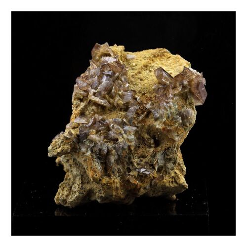 Axinite. 427.5 Ct. La Balme D'auris, Bourg D'oisans, Isère, France..