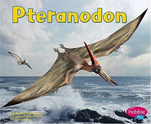 Pteranodon