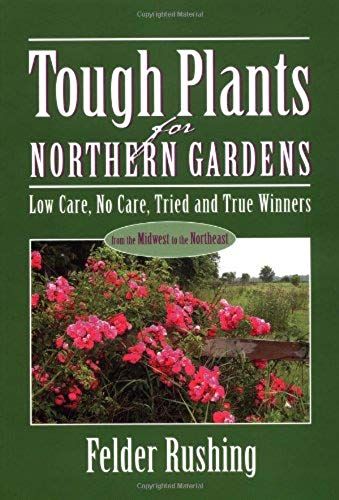 Tough Plants For Northern Gardens: Low Care, No Care, Tried And True Winners