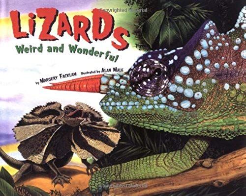 Lizards Weird And Wonderful