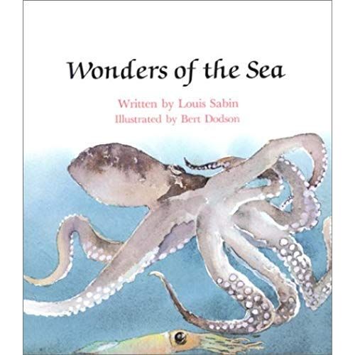 Wonders Of The Sea - Pbk