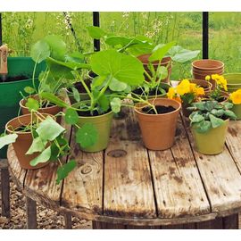 Pot180201 Lot De 5 Pots De Fleurs Durables En Fibre De Bambou Pour Intérieur Et Extérieur 10,2 Cm De Diamètre