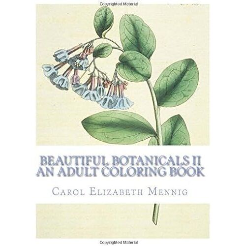 Beautiful Botanicals: An Adult Coloring Book