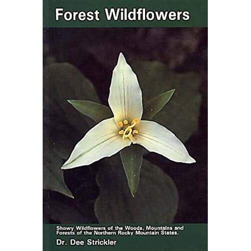 Forest Wildflowers