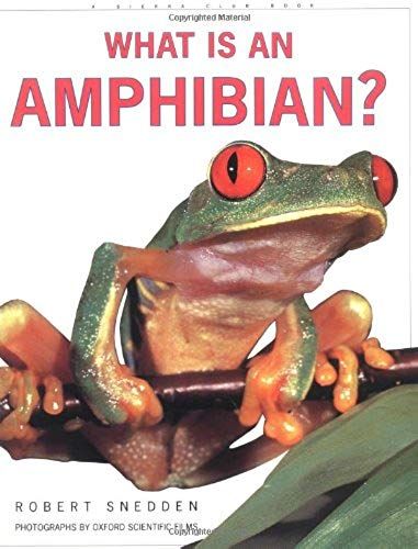 What Is An Amphibian?
