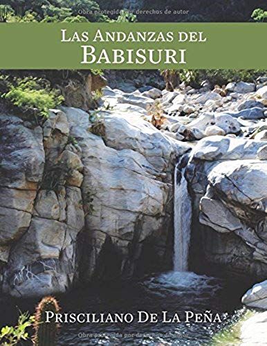 Las Andanzas Del Babisuri