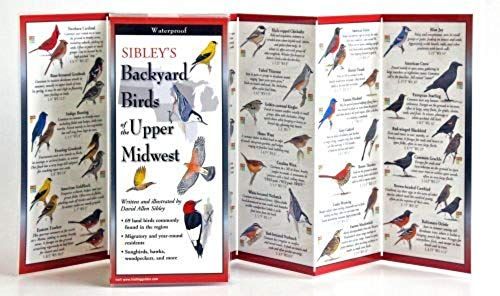Sibley's Back. Birds Of Midatl. & S.C. States