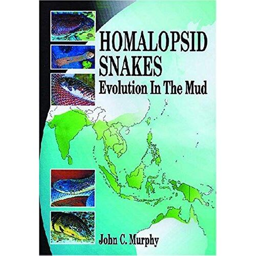 Homalopsid Snakes, Evolution In The Mud