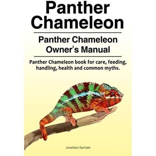 Panther Chameleon. Panther Chameleon Owner's Manual. Panther Chameleon Book For Care, Feeding, Handling, Health And Common Myths.
