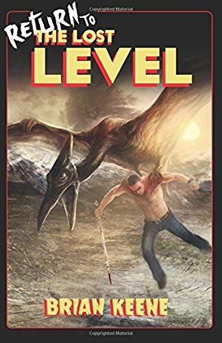 Return To The Lost Level