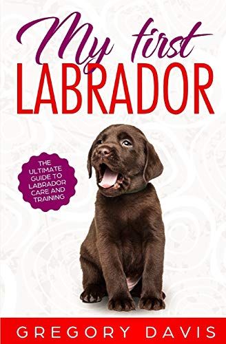 My First Labrador: The Ultimate Guide To Labrador Care And Training