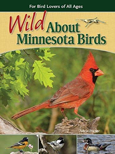Wild About Minnesota Birds: For Bird Lovers Of All Ages