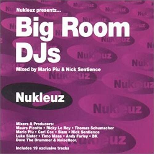 Big Room Dj's