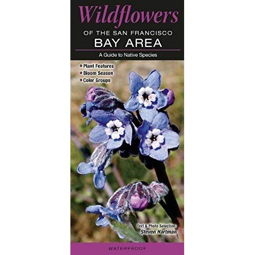 Wildflowers Of The San Francisco Bay Area