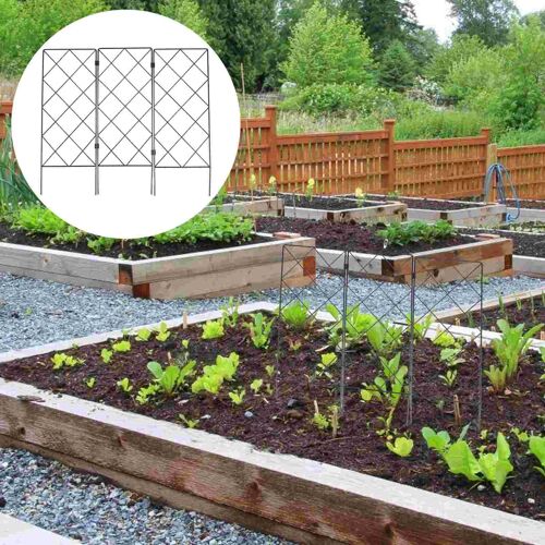 Cadre d'escalade pliant pour plantes de jardin, support de vigne en treillis