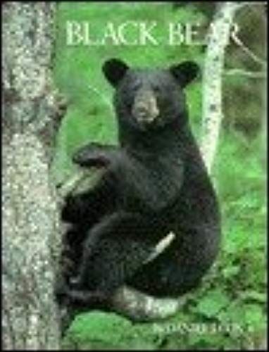 Black Bear