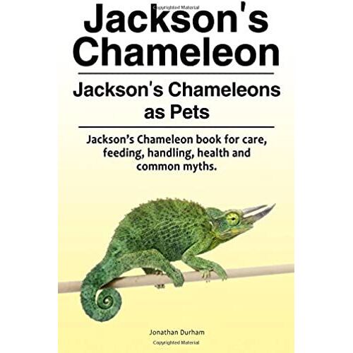 Jackson's Chameleon. Jackson's Chameleons As Pets. Jackson's Chameleon Book For Care, Feeding, Handling, Health And Common Myths.