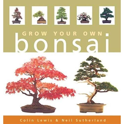 Grow Your Own Bonsai