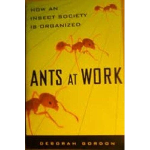 Ants At Work