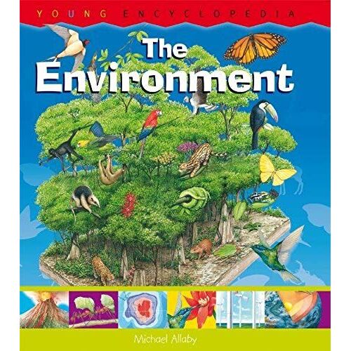 The Environment: What Is The Water Cycle? What Is The Greenhouse Effect?