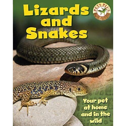 Lizards & Snakes (Pets Plus)