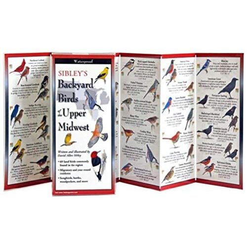 Sibley's Backyard Birds Of The Upper Midwest