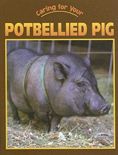 Caring For Your Potbellied Pig