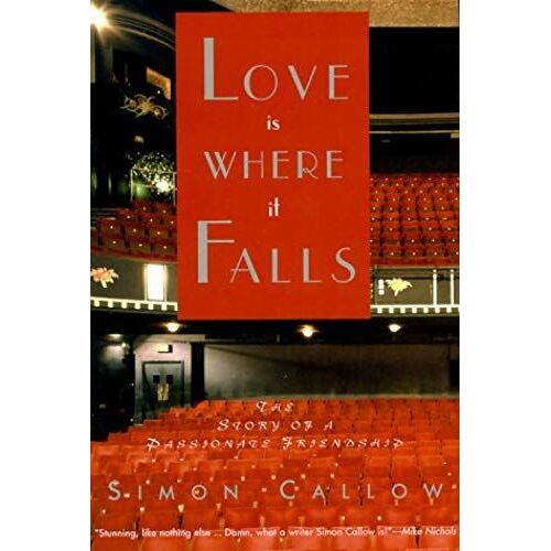 Love Is Where It Falls: The Story Of A Passionate Friendship