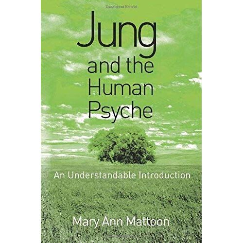 Jung And The Human Psyche