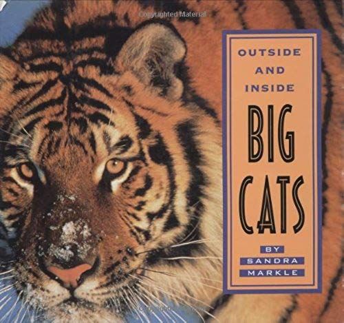 Outside And Inside Big Cats
