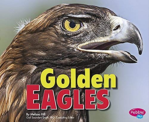 Golden Eagles