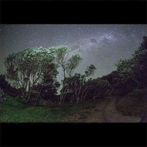 Older Terrors -Gatefold-