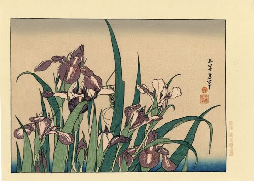 Véritable Estampe Japonaise De Hokusai "Iris Et Sauterelle"