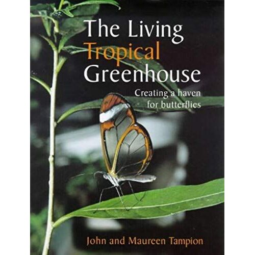 The Living Tropical Greenhouse: Creating A Haven For Butterflies