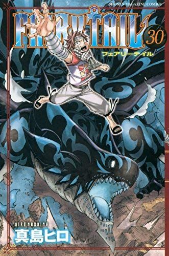 Fairy Tail Vol. 30 (In Japanese)