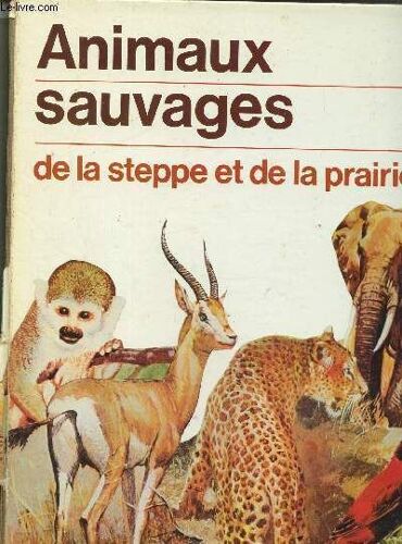 Animaux Sauvages De La Savane Africaine