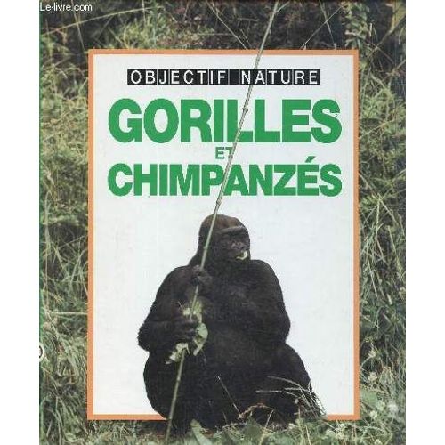 Gorilles Et Chimpanzes