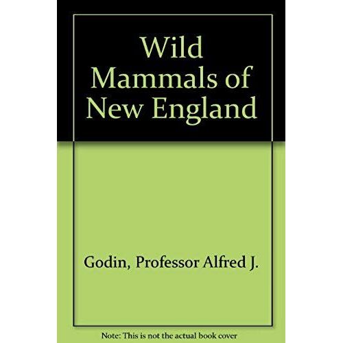 Wild Mammals Of New England