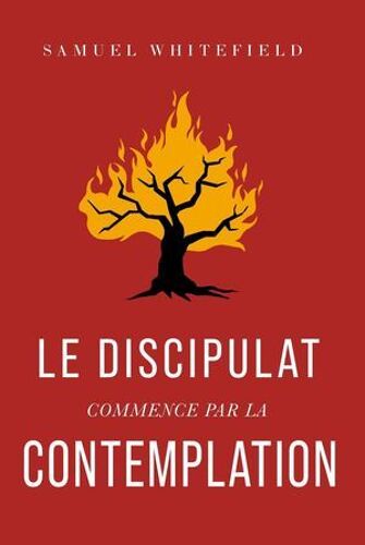 Le Discipulat Commence Par La Contemplation