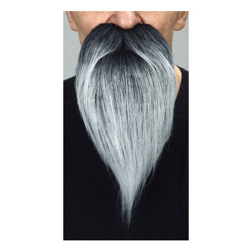 Moustache Aux Cheveux Gris