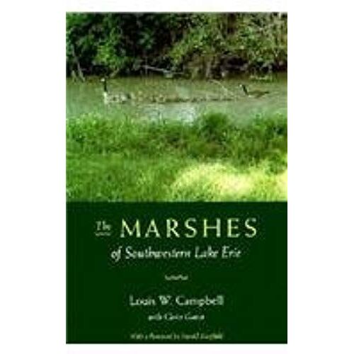 Marshes Of S W Lake Erie