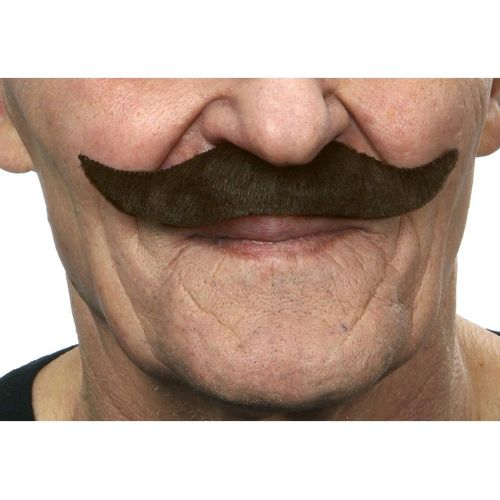 Moustache Anglaise Brune (Taille Unique)