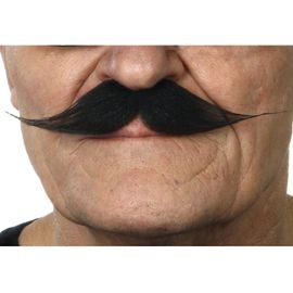 Moustache Vintage Noire (Taille Unique)