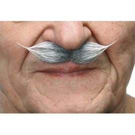 Moustache Cheveux Gris (Taille Unique)
