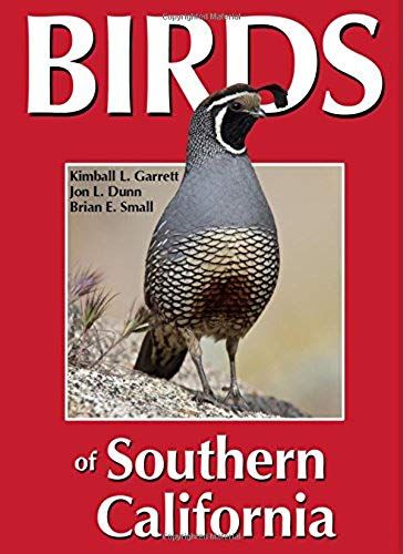 Birds Of Southern California