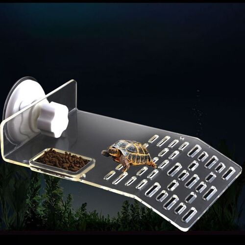 Tortue En Plastique Dôme S6, Plate-Forme De Basket, Décoration D'étagère, Toit Ouvrant, Terrasse, Île D'escalade, Station D'aquarium