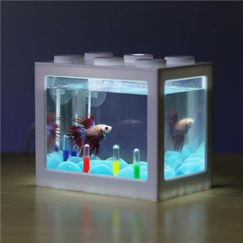Petforu ¿ Cylindre De Combat Pour Poissons Betta, Cylindre De Lutte Pour Poissons, Cylindre De Grondement, Mini Bloc De Construction D'aquarium
