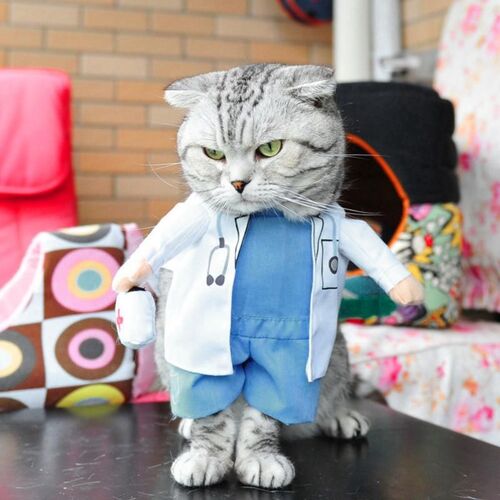 Costume D'halloween Pour Chien Et Chat, Costume De Médecin Pour Animaux De Compagnie, Tenue De Cosplay Blanche Et Drôle